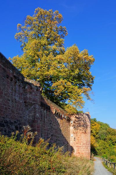 Malerische Ruine Henneburg par Gisela Scheffbuch