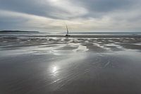 Strand Wissant