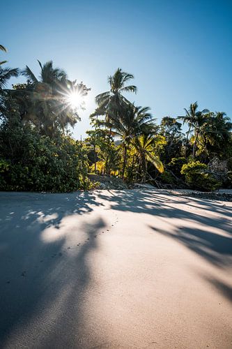 Tropisch Strand  Zonlicht en Schaduwen
