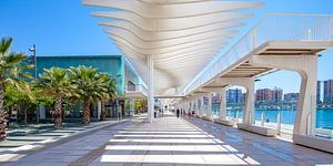 Malaga haven - Palmeral de las Sorpresas