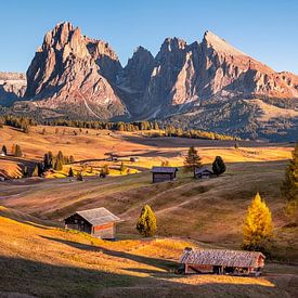 Dolomites Alpe de Siusi sur Voss photographie