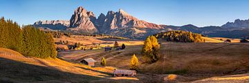 Dolomites Alpe di Siusi by Voss photography