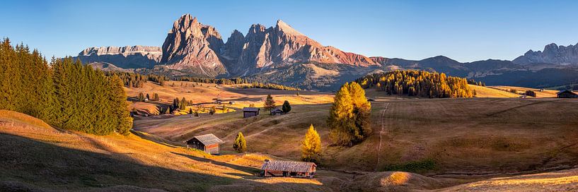 Dolomites Alpe di Siusi by Voss photography