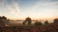 Brouillard le matin par Lex Schulte Aperçu