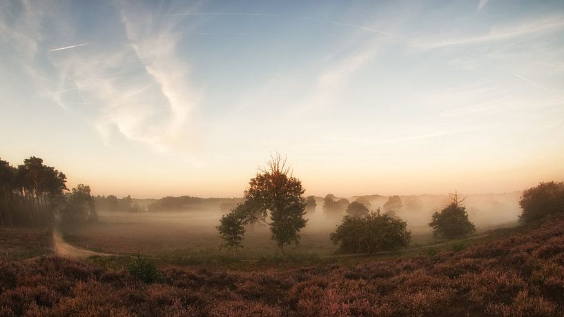 Brouillard le matin par Lex Schulte