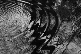 Les ondulations de l'eau créent de belles formes circulaires