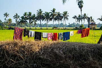 Het dagelijks leven in de Kerala Backwaters van Martijn