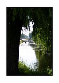 Het licht van Kaag en Braassem