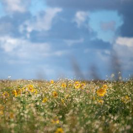 Zonnebloemen van Nathalie Scholtens - den Besten