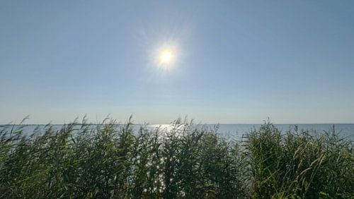 Sonnenschein von Marina Nieuwenhuijs