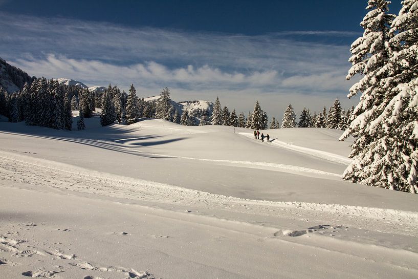 sneeuwlandschap 2 van Kees vd Heijden