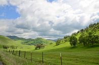 green valley by Andreas Muth-Hegener thumbnail
