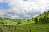 green valley