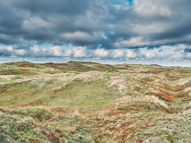 Côte et dunes de Den Helder par eric van der eijkj