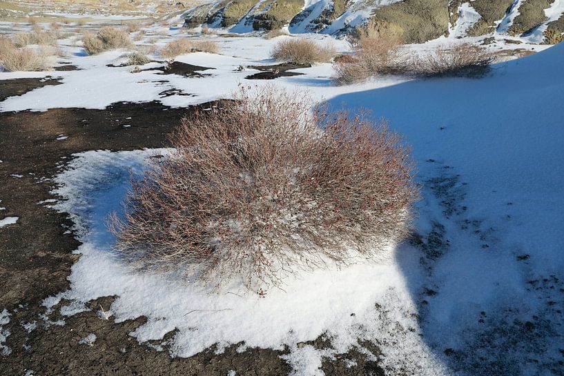 Bisti Badlands in de winter New Mexico, USA van Frank Fichtmüller