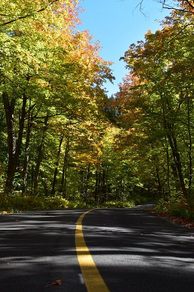 A country road in autumn by Claude Laprise