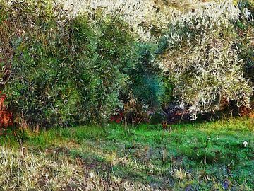 Wilde paddenstoelen onder olijfbomen van Dorothy Berry-Lound