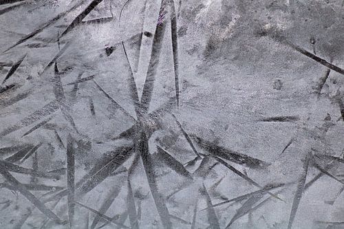 Ice flowers on the windows