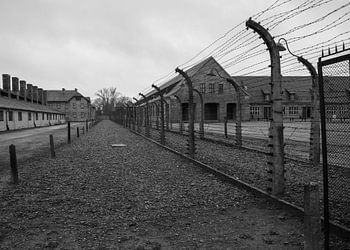 Damit wir nie vergessen -03