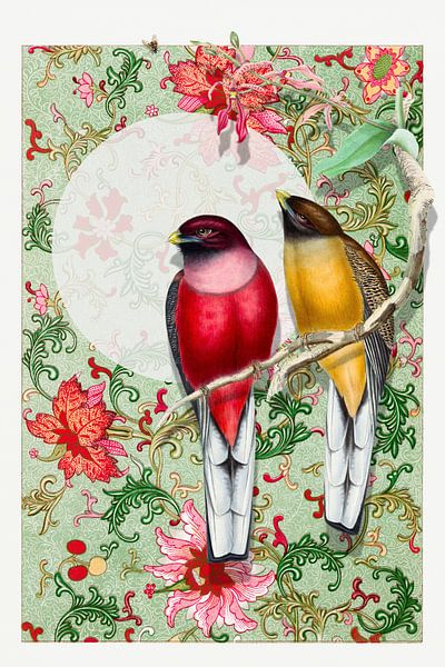Trogonidae by Marja van den Hurk
