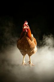 Chicken by Poster Art Shop