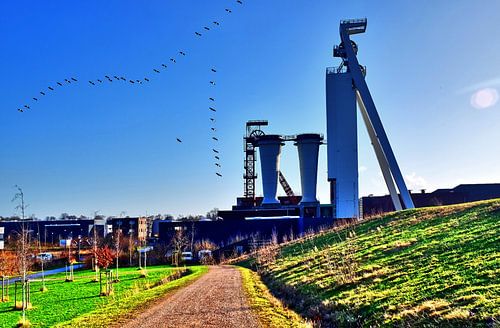 Schachttorens en trekvogels