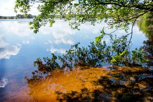 Weißes Holland ven spiegelndes Wasser