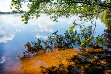 Wit Holland ven spiegeling in het water van Blond Beeld