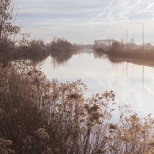 De Dender, Winterlicht, Denderbelle