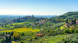 Das Dorf Castiglion Fiorentino und die Olivenhaine im Val di Chiana von Stefano Orazzini