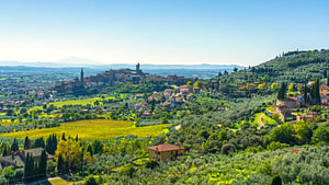 Das Dorf Castiglion Fiorentino und die Olivenhaine im Val di Chiana