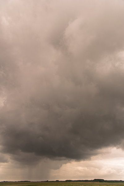Averse de pluie sur le Zwin par Edwin van Amstel