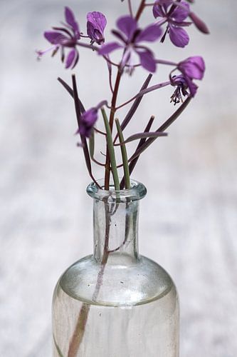 De pracht van onkruid in een flesje