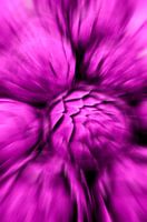 Art-i-Shocked Pink Booooom!