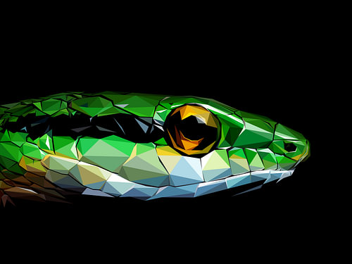 Abstract Green Snake LowPoly