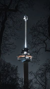 Euromast Rotterdam in de nacht tussen de bomen