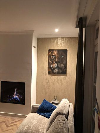 durch die Augen eines Löwen