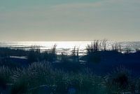 Dune argentique