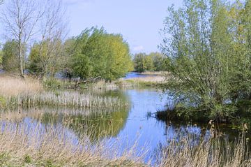 Vue sur la rivière et la nature sur Greta Lipman