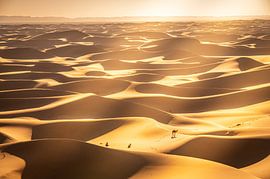 Sand dunes with camels in the Sahara, Morocco by René Wiegmink