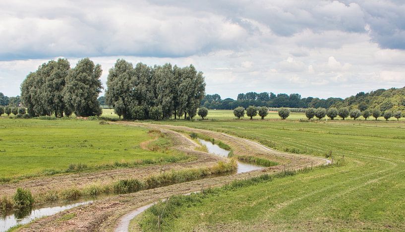 Mäandernder Bach von Natuurpracht   Kees Doornenbal