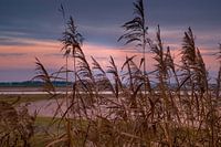 Landscape in France, Lac du Der