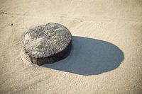 Zand erover