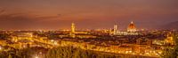 Skyline Florence at night II von Teun Ruijters Miniaturansicht