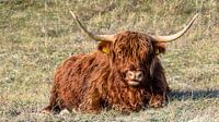 Scottish Gaelic