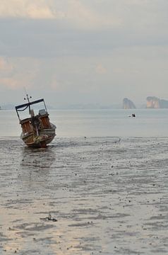 Longtail boat Thailand 2 by Andreas Muth-Hegener