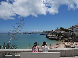 The view by Marco van't Woudt