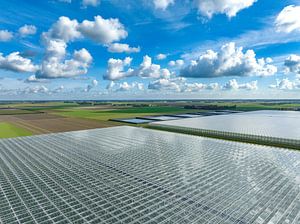 Gewächshaus für den Gemüseanbau Luftaufnahme von oben