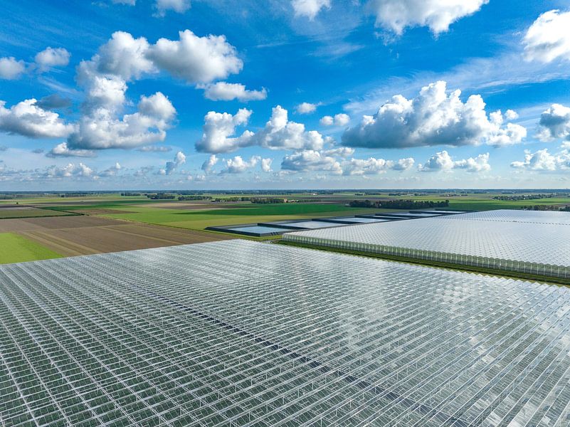 Greenhouse for growing vegetables aerial view from above by Sjoerd van der Wal Photography