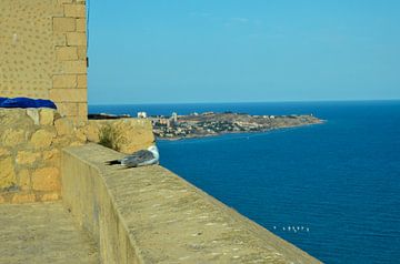 Blick vom Castillo de Santa Bárbara auf das Mittelmeer vor Alicante. Auf der Burgmauer sitzt eine Mö von LuCreator